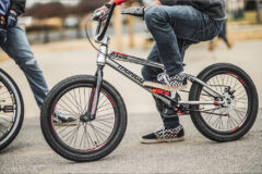 Mongoose
