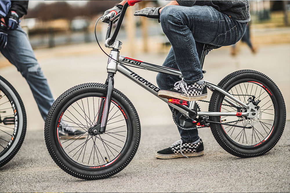 Mongoose