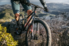 Mongoose